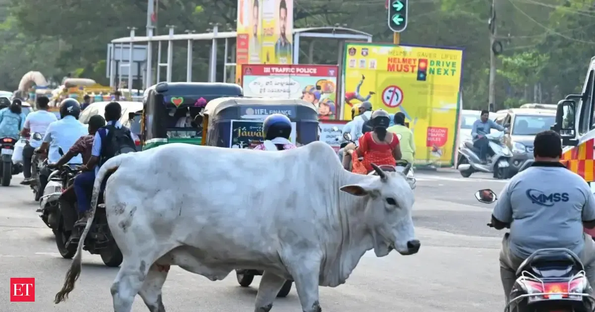 BJP councillor injured in stray cattle attack in Delhi
