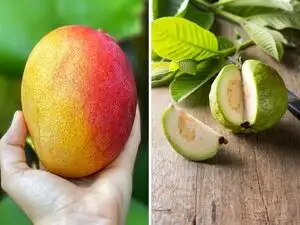 Rs 70 for one mango, Rs 30 for a guava? Techie's post from a Mumbai National park sparks debate