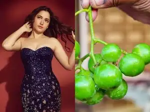 Tamannaah Bhatia&rsquo;s nutritionist says one Indian fruit can cure your gut for good. It is available for just two months in a year