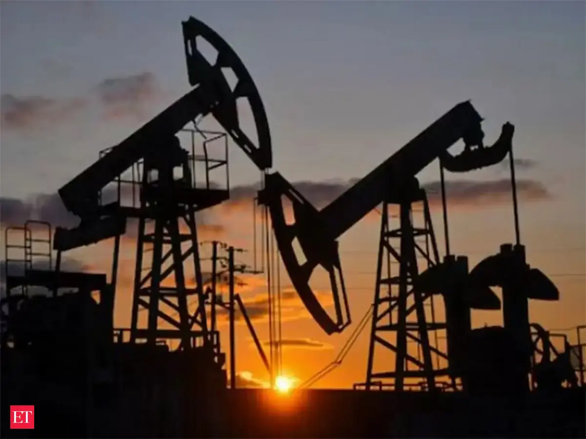 Petroleum vulnerability rising, India must build crude buffers and cut import dependence, EY cautions