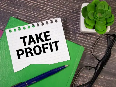 How are your profits taxed?