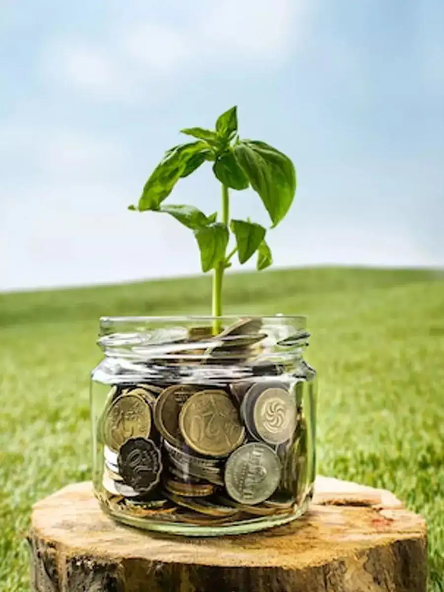 Looking for best NPS equity funds? These schemes delivered up to 14% in 3 years
