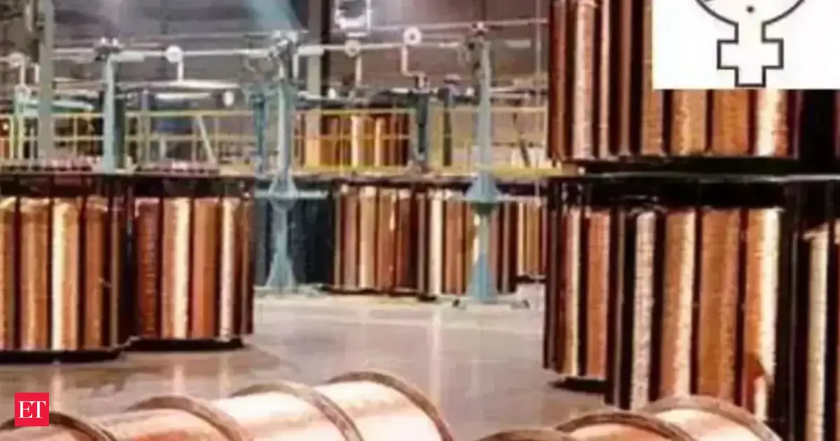 Hindustan Copper pins Navratna ambitions on 50,000 TPA Jhagadia Project