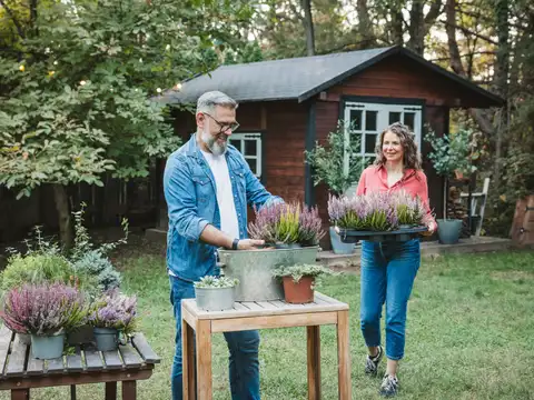 Gardening