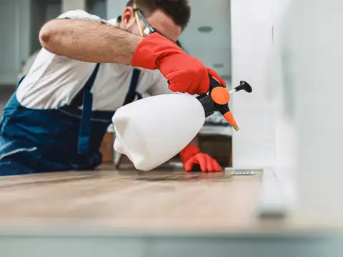 Know when to call professionals