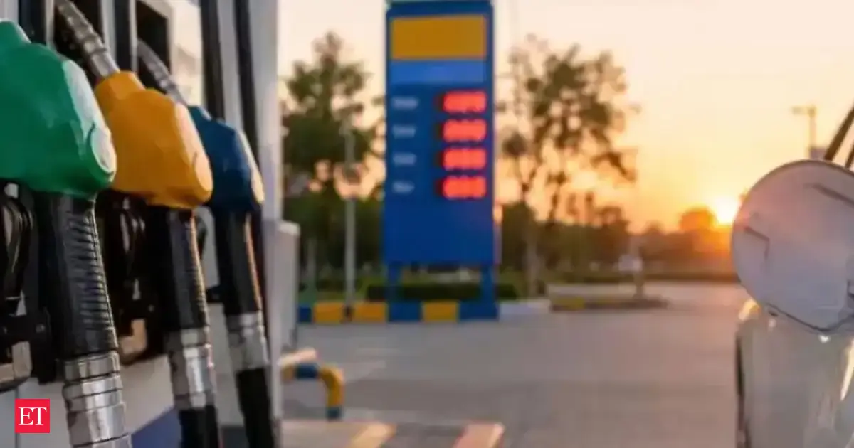 E25 petrol blend's test drive begins; study report expected by end of next year