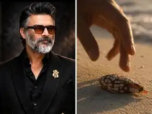 &lsquo;Do not pick it up&rsquo;: Actor Madhavan shares warning about poisonous seashell. It looks like a beautiful souvenir, but can be deadly