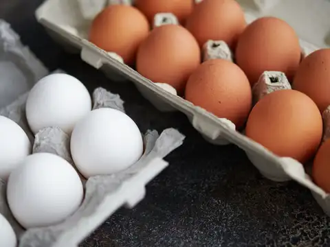 Eggs
