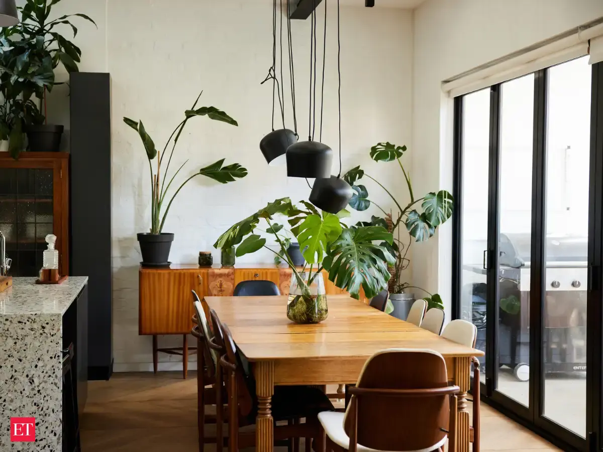 4 low-light indoor plants that thrive with minimal sunlight