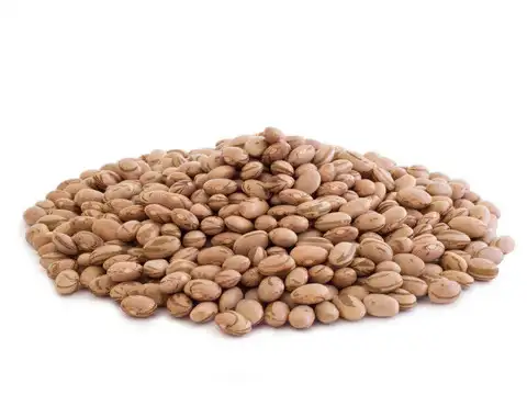 Pinto beans