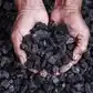 Image for Coal India supply to power sector rises 