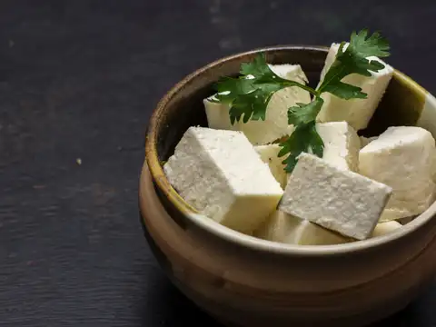 Paneer Cubes