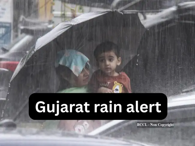 Gujarat Weather today: IMD sounds red alert and orange alert for heavy ...