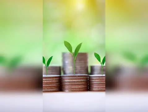 Large cap mutual funds