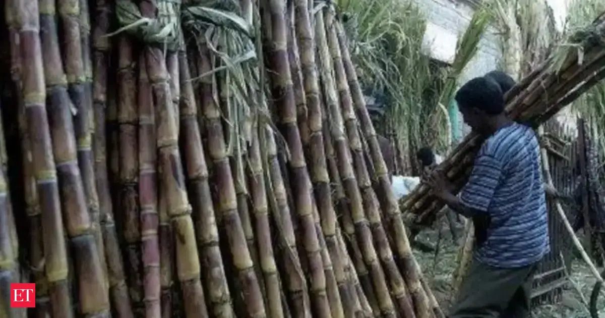 Indian Potash Ltd ties up with UPL arm to boost sugarcane yield around Gujarat mill