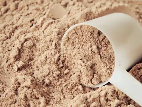 Whey Protein Chocolate