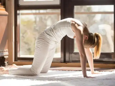  Marjaryasana and Bitilasana (Cat and Cow Pose)