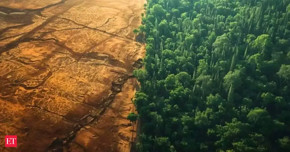 Sahara Vs Great Green Wall An 8000 Km Green Belt Is Being Built Across Africas Sahel Region Aims To Stop Desert Expansio