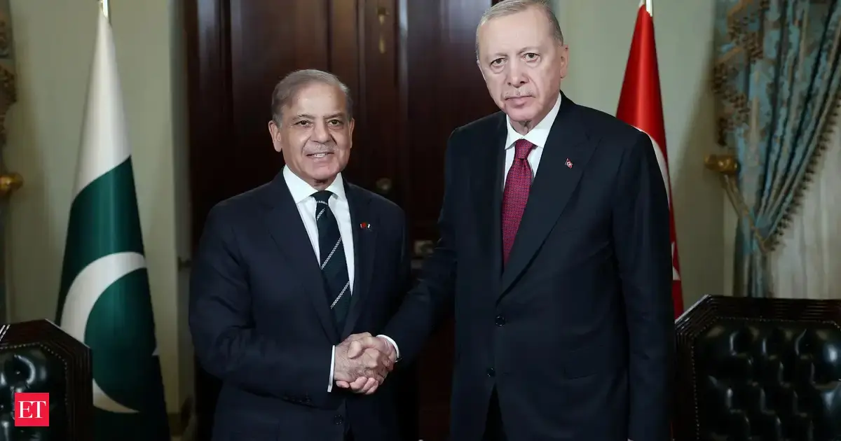 Pakistan, Turkiye progress interconnected; PM Sharif, President Erdogan discuss trade, defence in Istanbul
