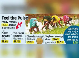 Kharif Sowing Picks Up, But Still 21% Below Last Yr