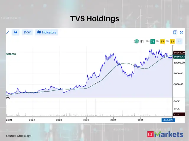 TVS Holdings