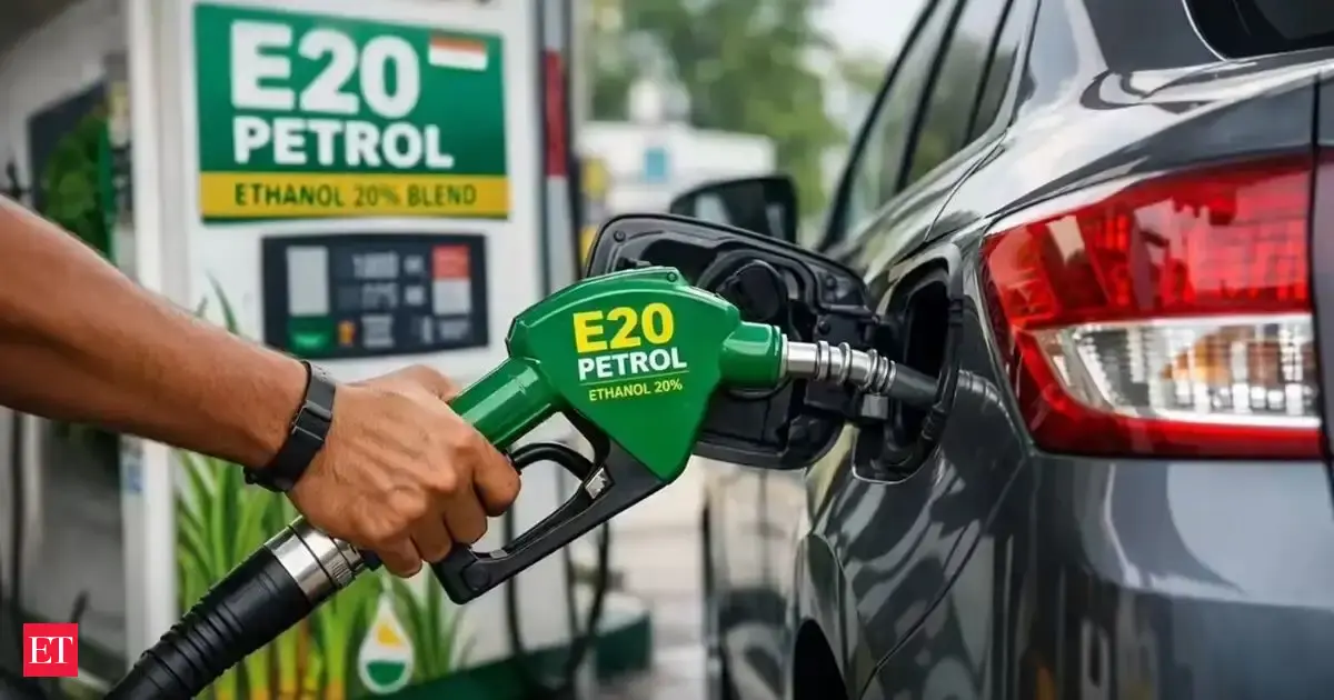 E20 petrol may damage rubber parts: Report 