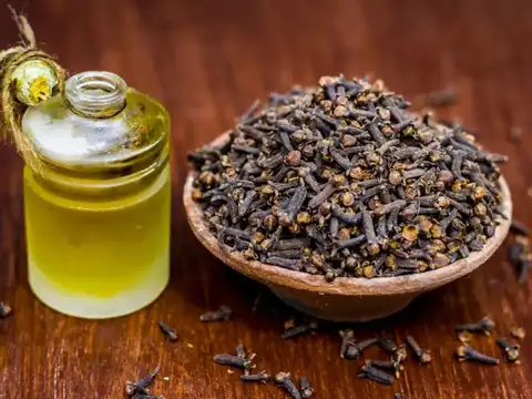 Clove Oil