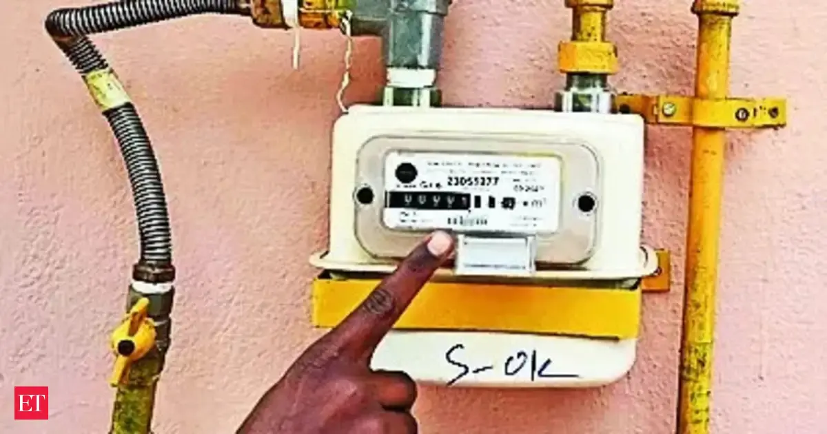 City gas companies say government's 100k PNG connections-a-day target unviable