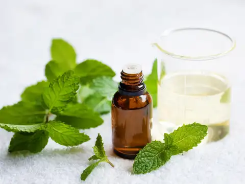 Peppermint