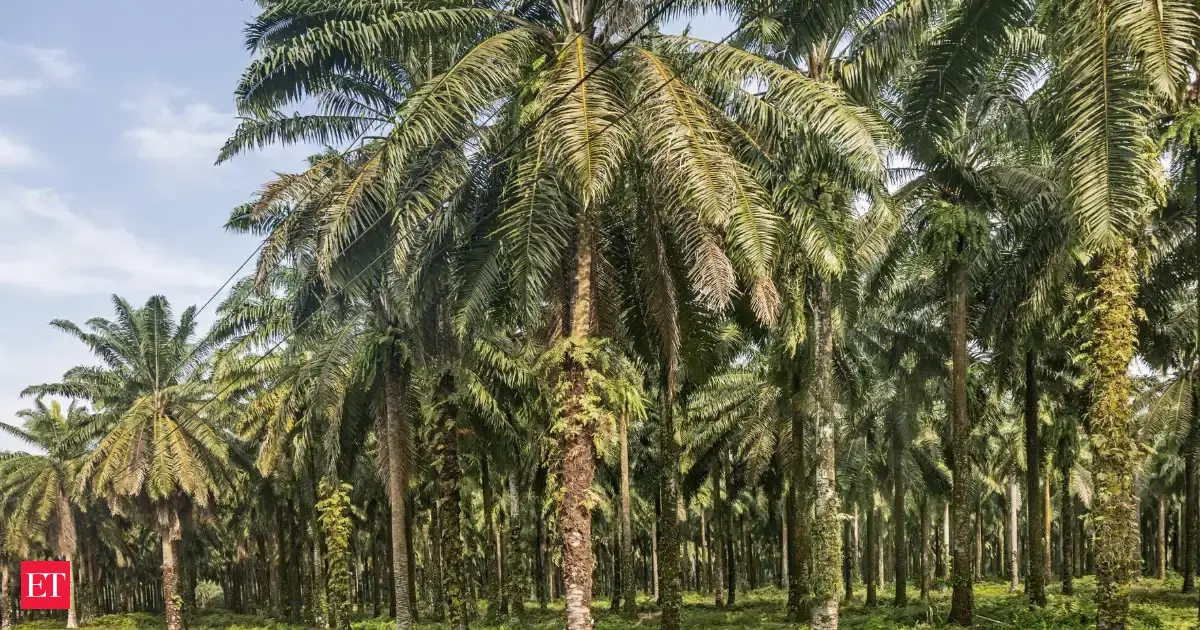 Godrej Agrovet to set up Rs 300-cr oil palm complex in Telangana