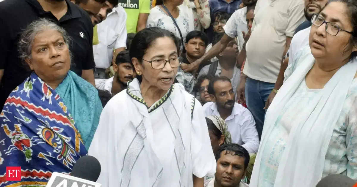 Mamata Banerjee alleges 'police raj' amid clashes during protest