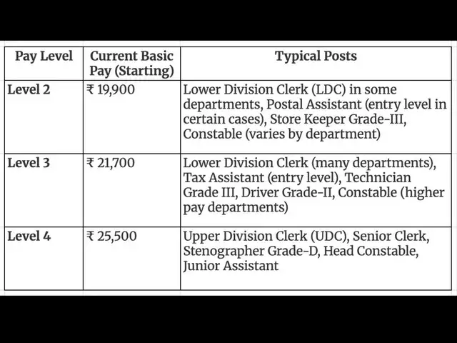 Who are Level 2-4 central government employees?
