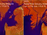 NASA satellite study finds Earth's mangrove forests are making an unexpected comeback after decades of decline. But scientists warn the good news may not last forever