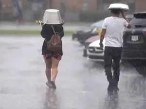 A powerful El Nino event has emerged across the Pacific Ocean.  This developing weather pattern is expected to be one of the strongest in decades.