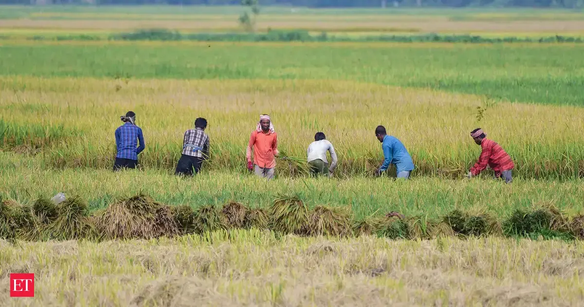 Weak monsoon to weigh on rural demand, credit 