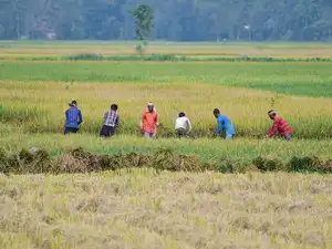 Weak monsoon may weigh on rural demand, credit growth in coming months: S&P Global Ratings