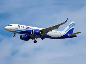 indigo