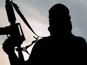 Terrorist---Agencies