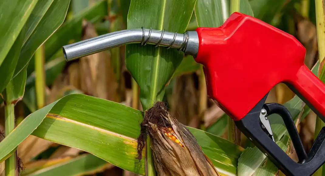 Ethanol ecosystem: Judging fear by noise is not evidence; is an index the answer? 15 stocks from the ecosy