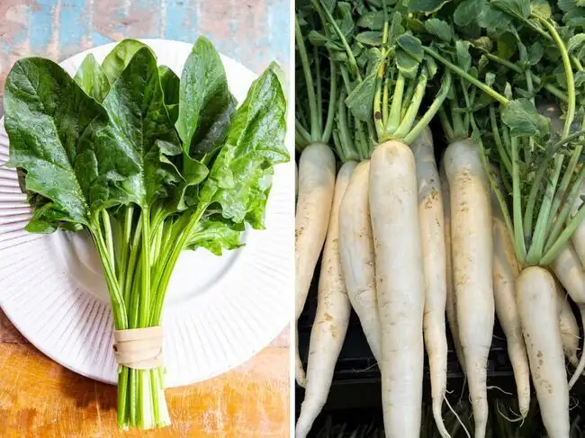 Spinach - radish