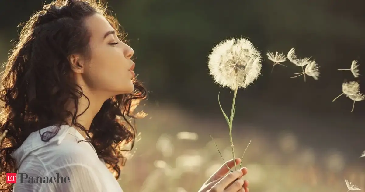 French Proverb Of The Day To Live Happily Live Hidden A Timeless Wisdom On Embracing Privacy To Protect Your Peace