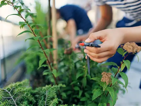 Switch to drip irrigation