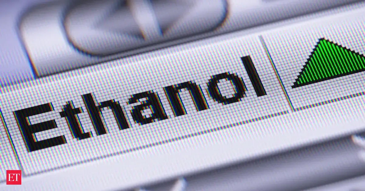 India's ethanol surplus spurs export push amid E20 backlash