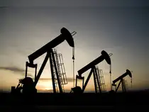 oil