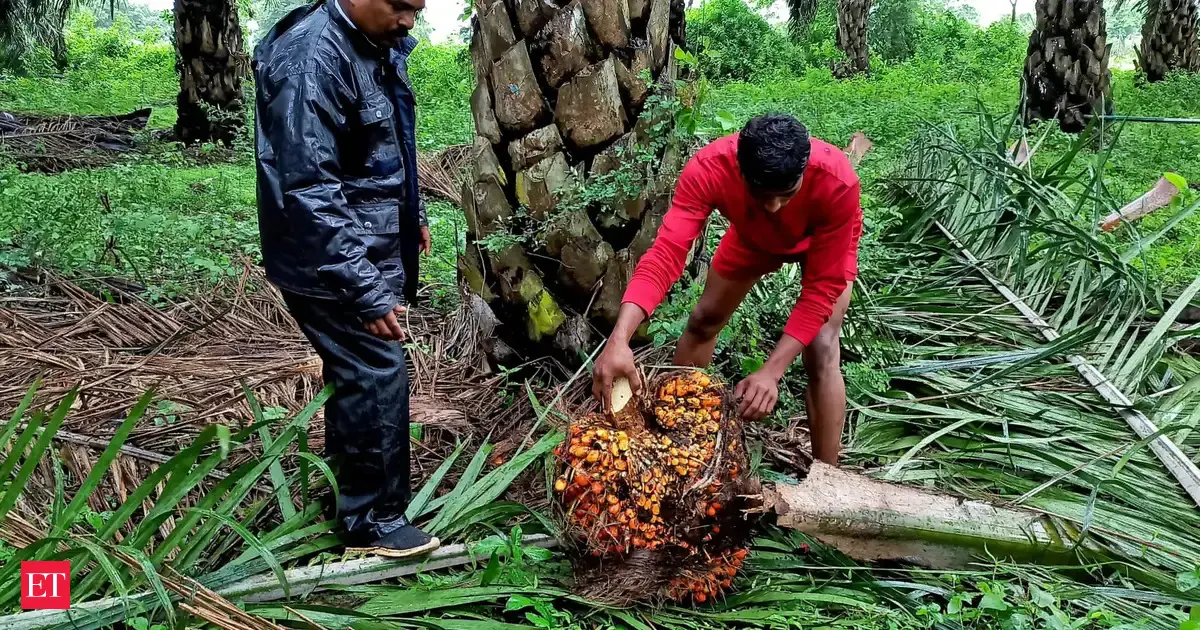 India's June vegetable oil imports fall 29% on shrinking palm oil discount: SEA