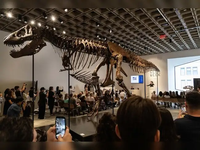 World's most expensive T. rex 'Gus' sold for $50.1 million