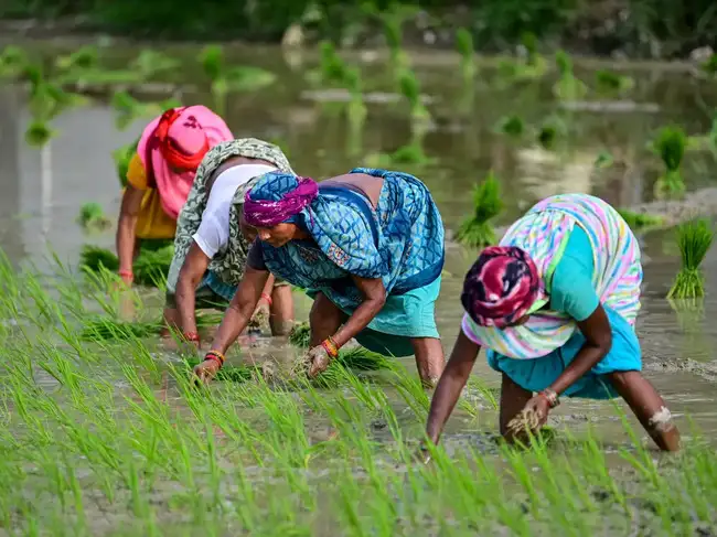 India's bio-input expansion faces a skilled workforce shortage.