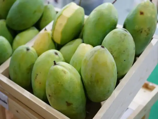 Raw mango vs ripe mango: Which one is better for health? - Raw Mango ...