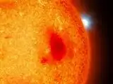 Scientists discover four new stars right next to Earth: White dwarfs were hiding behind brighter red dwarfs; discovery made using Hubble's ultraviolet camera