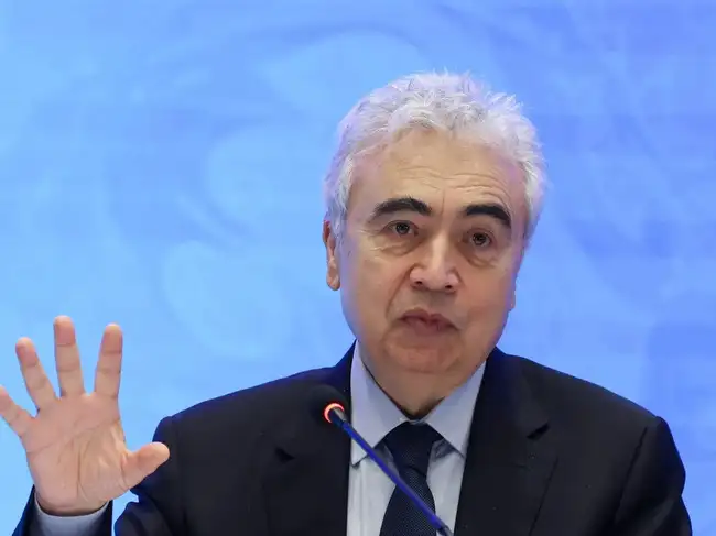 FILE PHOTO: IEA Executive Director Birol speaks during a press conference in Istanbul